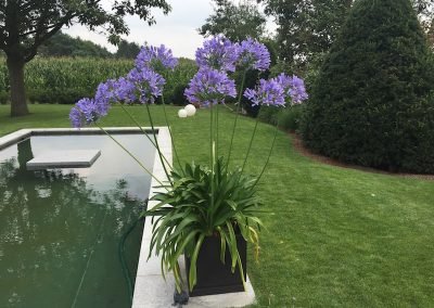 Gartengestaltung