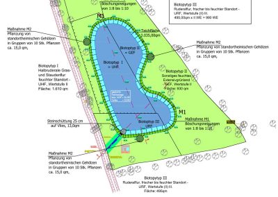 Planung eines naturnahen Teiches